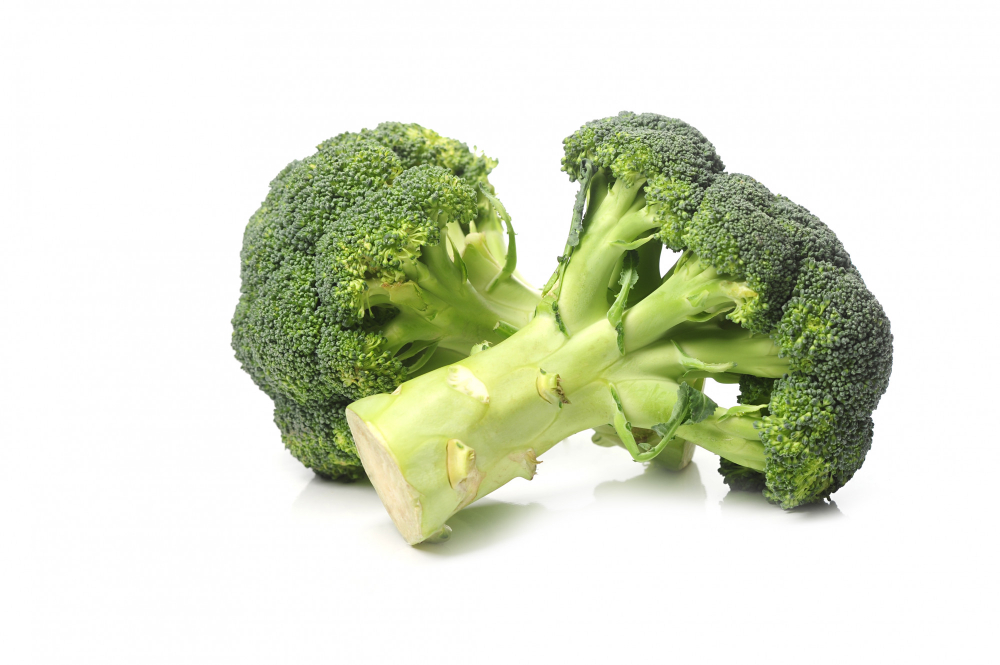 fresh broccoli isolated