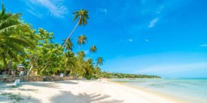 Saiba qual é a melhor época do ano para ir para Ubatuba 2 melhor época do ano para ir para Ubatuba